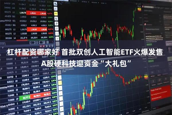 杠杆配资哪家好 首批双创人工智能ETF火爆发售 A股硬科技迎资金“大礼包”